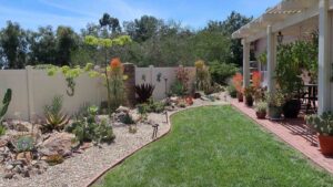 Inexpensive Desert Landscaping Ideas For Your Home