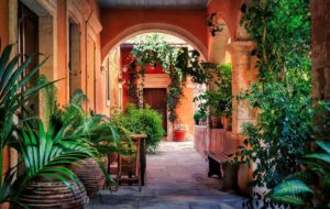 Adding Texture to a Small Mediterranean Courtyard Garden