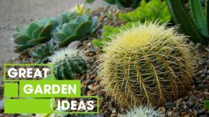 Front Yard Succulent Garden Ideas